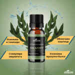 етерично масло Евкалипт ЕТЕРИМ