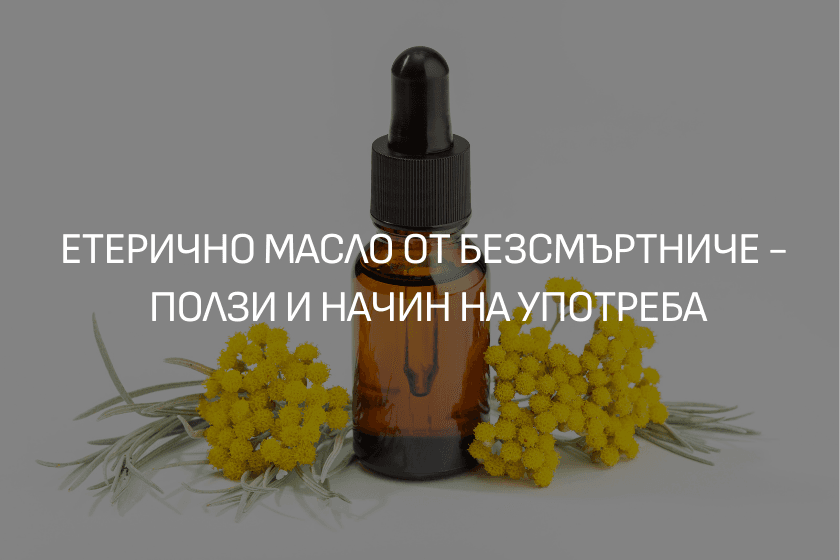 Масло от безсмъртниче ползи и употреба