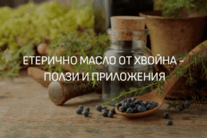 Масло от хвойна ЕТЕРИМ
