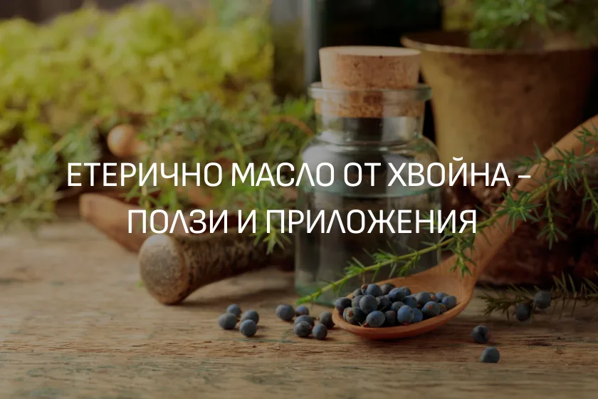 Масло от хвойна ЕТЕРИМ