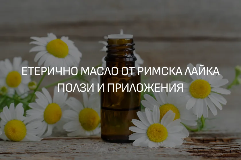 Етерично масло от Римска лайка- Ползи и Приложения