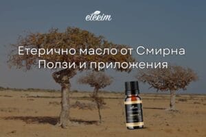 Етерично масло от смирна ползи и приложение