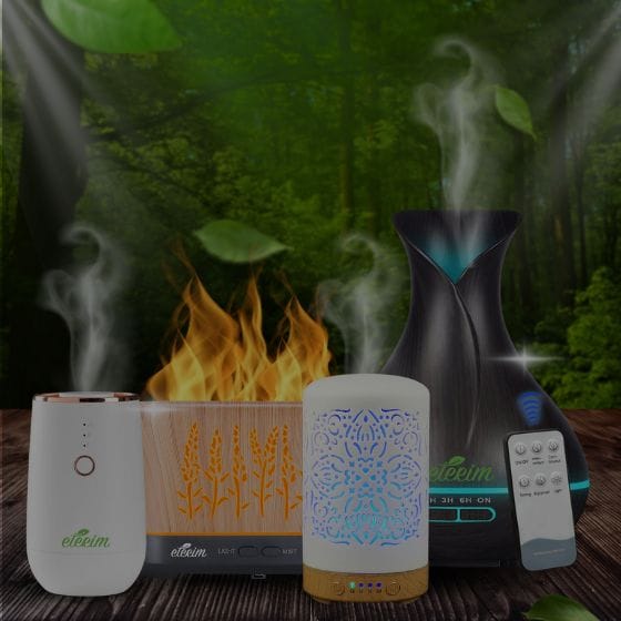 Дифузери за етерични масла ЕТЕРИМ 2025