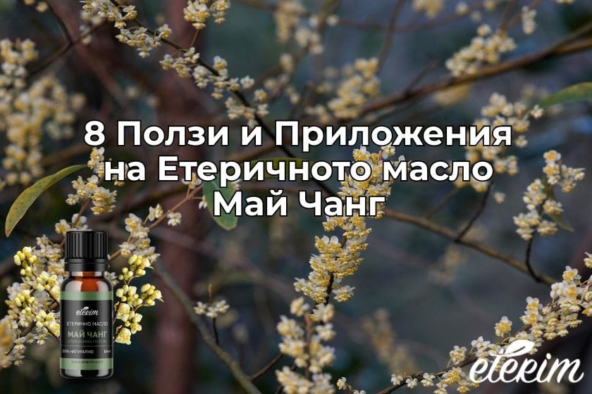 8 Ползи и Приложения на Етеричното масло Май Чанг заглавна