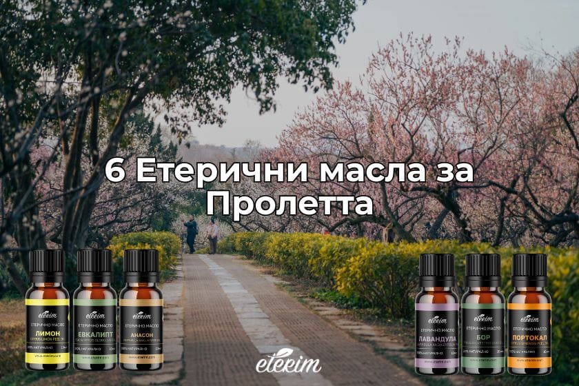 6 Етерични масла за Пролетта заглавна