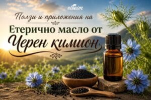 Черен кимион: ползи, приложения и етерично масло